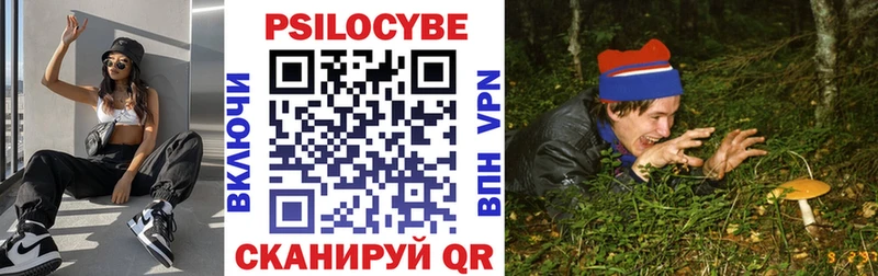 Псилоцибиновые грибы GOLDEN TEACHER  Купить где  Киржач 